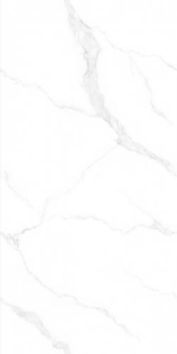 KE98101A_02