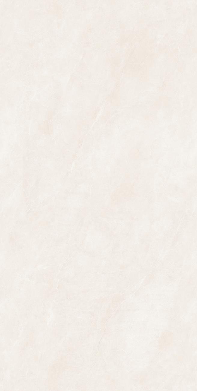 KEJ75809A普林斯顿