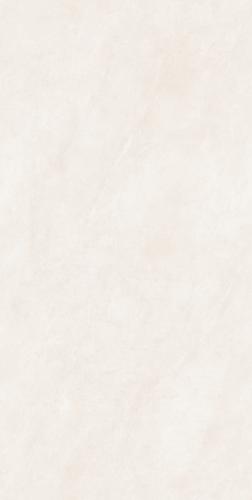 KEJ65809A普林斯顿