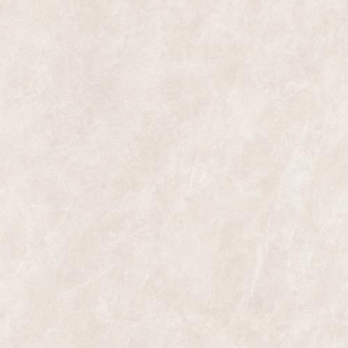 KEJ85809A普林斯顿