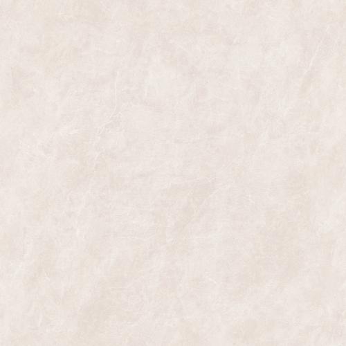 KEJ85809A普林斯顿