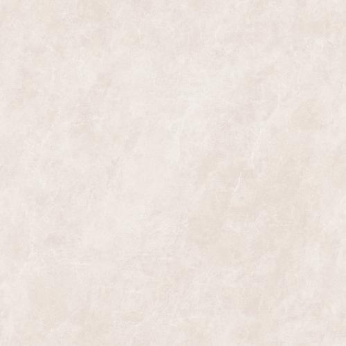 KEJ85809A普林斯顿