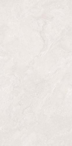 KEJ1587Y37A普拉斯